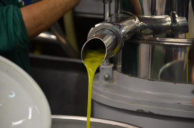 Aceite de oliva prensado en frío
