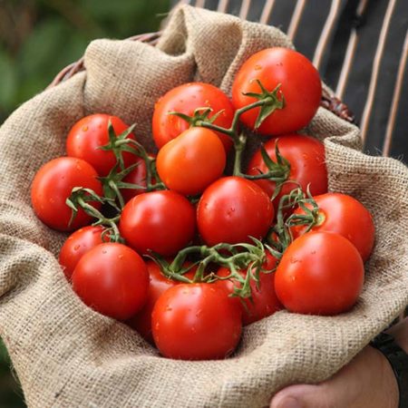 Licopeno en los tomates